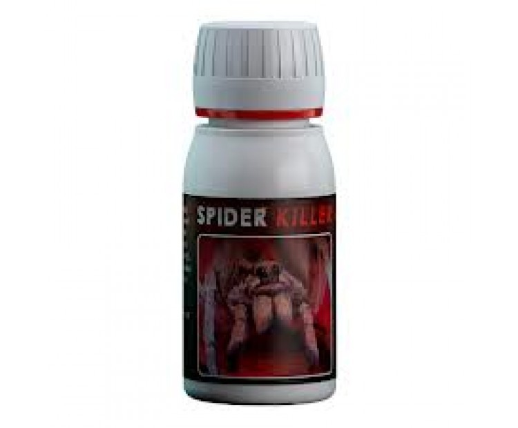 SPIDER PLANT -60ML-